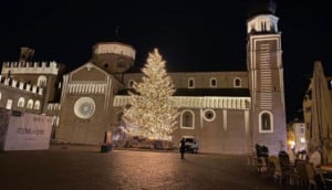 Trento Mapping Projection